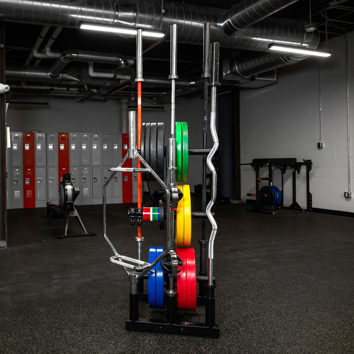 Weight Plate and Barbell Storage