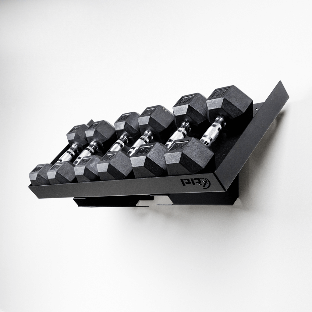 Picture of PRx Wall-Mount Dumbbell Storage