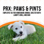 Paws & Pints: Employee 5K for Homeward Animal Shelter with Labby’s Grill and Bar