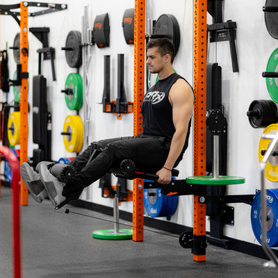PRx Leg Curl/Extension