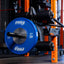 PRx Leg Curl/Extension