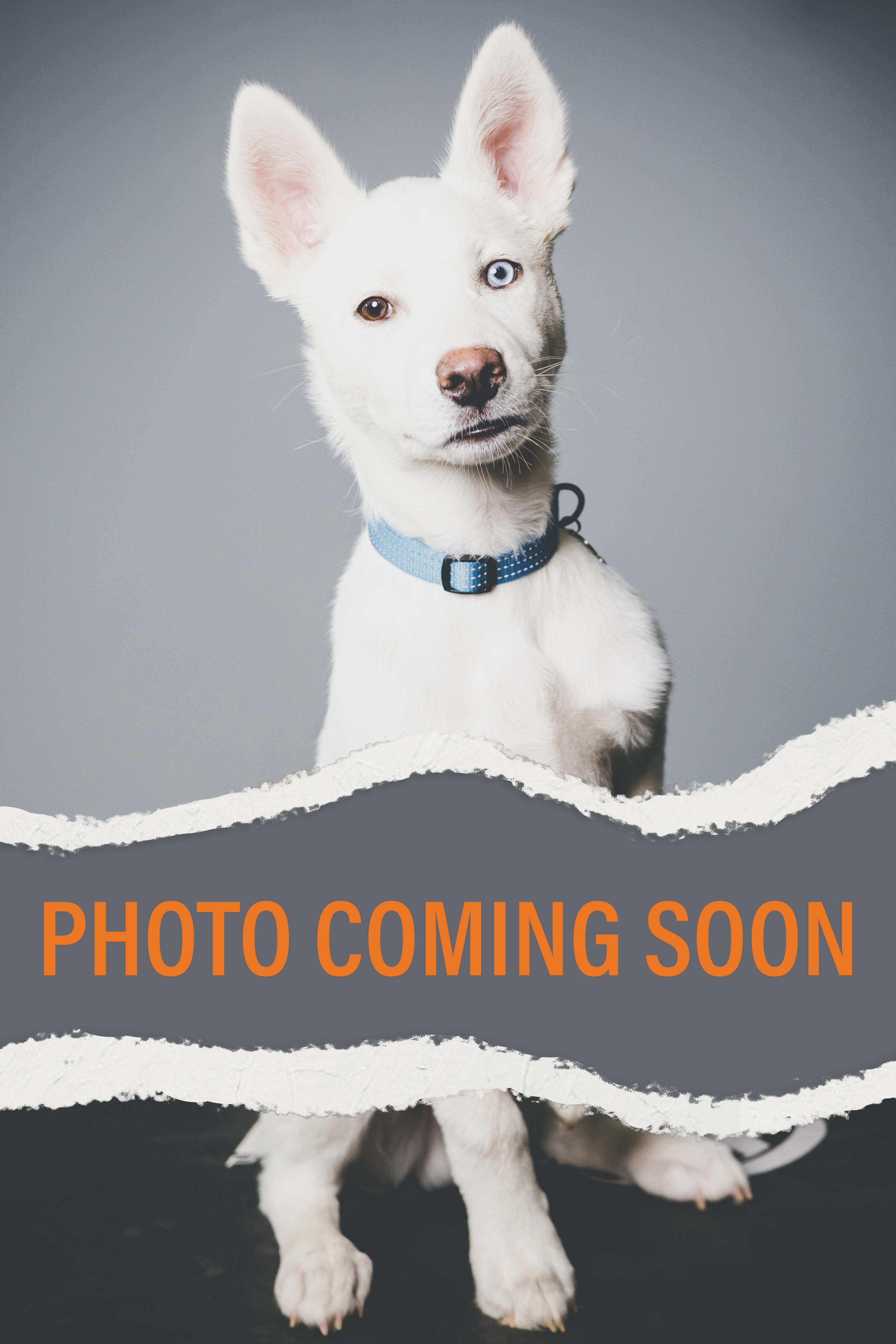 Image of Chris posing